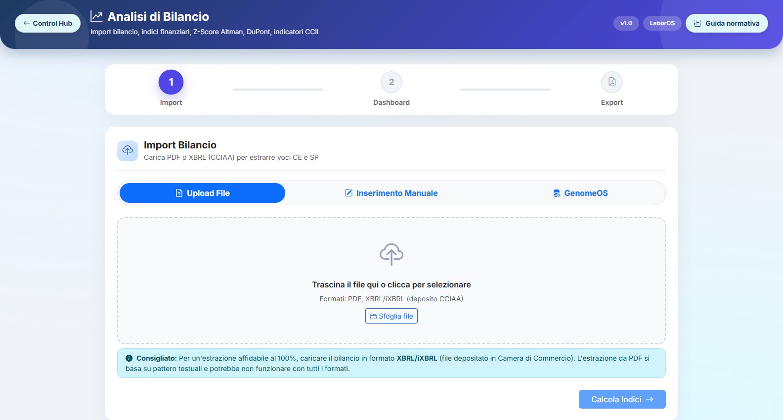 Strumento Analisi di Bilancio di Control Hub con import del bilancio e indici finanziari